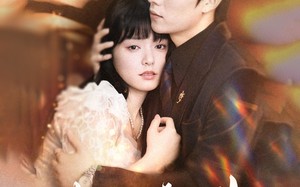 短剧《情深已迟暮（50集）》短剧在线播放完整版