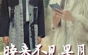 短剧《晚来不见星月（40集）》短剧免费完整版在线览