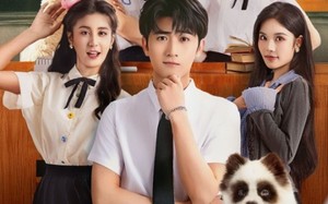 短剧《骑驴上学2御剑飞行赶早八（66集）》新奇短剧高清在线播