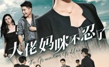 短剧《大佬妈咪不忍了（36集）》短剧热剧免费在线追