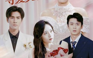 短剧《错缘之悔寻爱无归（51集）》短剧全集免费在线享