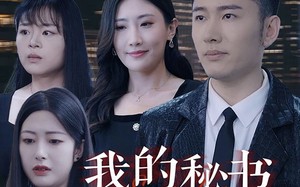 短剧《我的秘书为什么这样（94集）》短剧全集免费畅快看