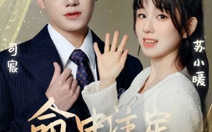 短剧《命中注定遇见你（96集）》长篇短剧免费全集览