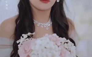 短剧《不要招惹舒小姐（101集）》短剧完整版免费在线赏