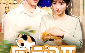 短剧《厄运闪开，幸运猫猫驾到（62集）》优质短剧免费全集速览