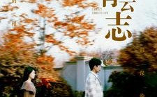 短剧《不坠青云志（89集）》高分短剧全集免费观