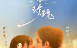 短剧《困兽与玫瑰（90集）》优质短剧全集观看