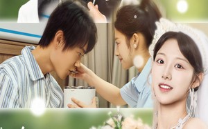 短剧《真心易试碎玉难圆（51集）》短剧免费全集畅快追