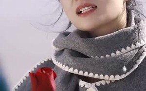 短剧《燃烧的玫瑰（69集）》短剧完整剧情在线速览