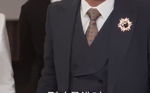 短剧《中年离婚后她名动商界（30集）》短剧全集在线免费享