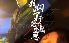 短剧《我闪孕了千亿总裁的崽（87集）》短剧全集免费畅享观看