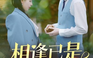 短剧《相逢已是上上签（30集）》热门短剧全集免费享