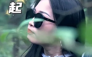 短剧《风禾尽起（31集）》短剧免费全集高清播放