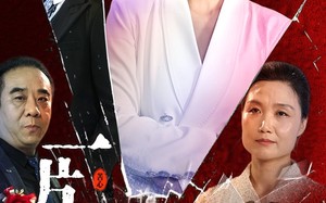 短剧《一片苦心付东流（80集）》免费短剧全集一键播放