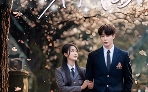 短剧《愿得一人心白首不相离（80集）》免费短剧高清全集观