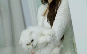 短剧《归路（73集）》免费短剧全集高清速观