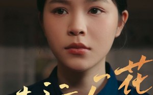 短剧《幸运厂花（30集）》爆款短剧全集免费观赏