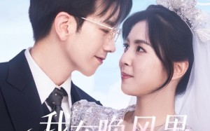 短剧《我在晚风里等你（65集）》短剧全集免费高清看