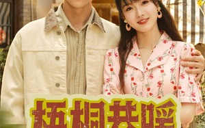 短剧《梧桐巷暖（61集）》短剧完整版免费畅享