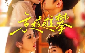 短剧《京枝难攀（80集）》优质短剧在线高清观看