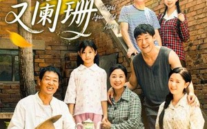 短剧《旧巷灯火又阑珊（66集）》短剧完整版免费在线看