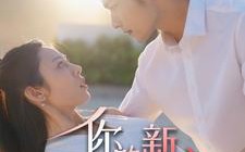 短剧《你的新娘为何不是我（63集）》免费短剧高清全集享