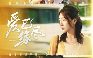 短剧《爱已缘尽（62集）》短剧全集免费在线赏