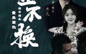 短剧《金不换（32集）》短剧免费看完整剧情