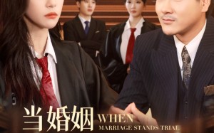 短剧《当婚姻站上被告席（30集）》短剧完整版在线畅享