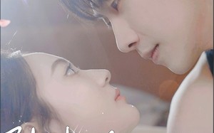 短剧《陆夫人，二胎了解一下（83集）》爆款短剧在线一键观看