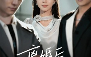 短剧《离婚后林小姐光芒万丈（62集）》短剧完整版免费看