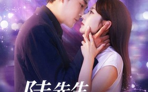 短剧《陆先生，余生不再见（88集）》精彩短剧免费在线追