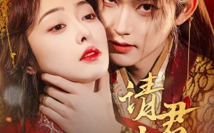 短剧《请君夺娇（71集）》免费短剧全集畅快赏