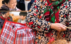 短剧《婆婆进城过大年（33集）》免费短剧完整版在线瞧