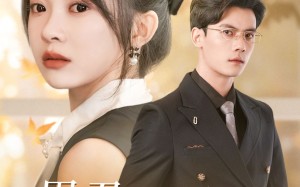 短剧《思君不见朝与暮（46集）》短剧超清全集免费看