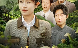 短剧《茶骨红颜（92集）》超火短剧全集免费畅享