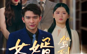 短剧《女婿驾到，通通闪开（34集）》短剧热门免费全集直播