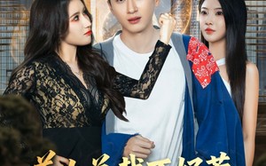 短剧《美女总裁不好惹，小神医专治不服（80集）》热门短剧免费全集播放