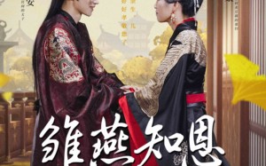 短剧《雏燕知恩报春来（36集）》精彩短剧在线免费享