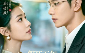 短剧《假死五年，重逢前夫他哭了（82集）》短剧免费在线看大结局