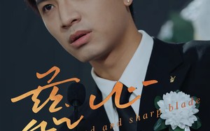 短剧《慈心利刃（30集）》免费短剧完整版观看