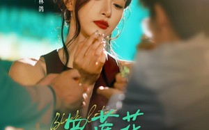 短剧《黑莲花她不装了（77集）》热门短剧免费全集线上览