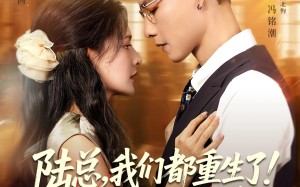 短剧《陆总我们都重生了别离婚（79集）》短剧完整版免费在线赏