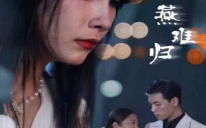 短剧《燕南飞，燕难归（31集）》短剧免费全集在线追