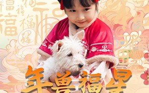 短剧《年兽福星六岁半（62集）》爆款短剧在线畅享