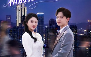 短剧《不做替身后，和前任她姐结婚了（70集）》爆款短剧全集免费看