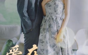 短剧《爱在陌上花开时（100集）》高人气短剧在线免费追