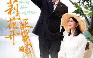 短剧《茉莉花开正当时（80集）》热门短剧全集畅快追