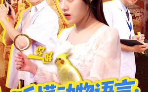 短剧《听懂动物语言我成了警局常客（101集）》超火短剧全集免费看