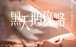 短剧《黑天鹅攻略（65集）》爆款短剧一集不落在线赏